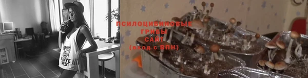 MDMA Горнозаводск
