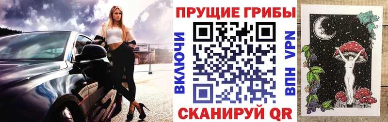 Купить  Бирюсинск  Псилоцибиновые грибы Psilocybine cubensis 